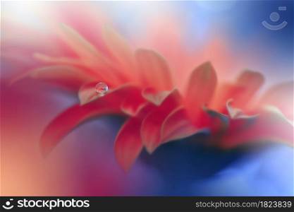 Beautiful Macro Shot of Magic Flowers.Border Art Design.Magic Light.Extreme Close up Photography.Conceptual Abstract Image.Orange and Blue Background.Fantasy Art.Creative Wallpaper.Beautiful Nature Background.Amazing Spring Flower.Water Drop.Copy Space.