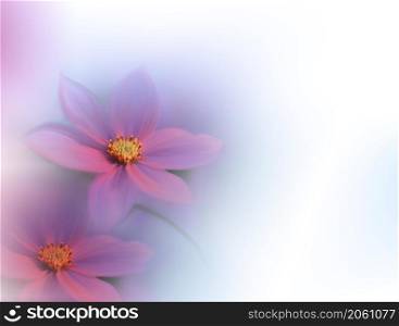 Beautiful Macro Shot of Magic Flowers.Border Art Design. Magic Light.Extreme Close up Photography.Conceptual Abstract Image.White Background.Fantasy Art.Creative Wallpaper.Beautiful Nature Background.Amazing Spring Pink Flowers.Copy Space.