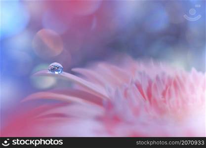 Beautiful Macro Shot of Magic Flowers.Border Art Design.Magic Light.Extreme Close up Photography.Conceptual Abstract Image.Pink and Blue Background.Fantasy Art.Creative Wallpaper.Beautiful Nature Background.Amazing Spring Flower.Water Drop.Copy Space.