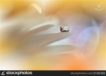 Beautiful Macro Shot of Magic Flowers.Border Art Design.Magic Light.Extreme Close up Photography.Conceptual Abstract Image.Yellow and Orange Background.Fantasy Art.Creative Wallpaper.Beautiful Nature Background.Amazing Spring Flower.Water Drop.Copy Space.