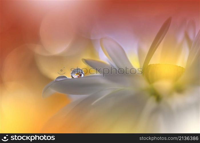 Beautiful Macro Shot of Magic Flowers.Border Art Design.Magic Light.Extreme Close up Photography.Conceptual Abstract Image.Yellow and Orange Background.Fantasy Art.Creative Wallpaper.Beautiful Nature Background.Amazing Spring Flower.Water Drop.Copy Space.