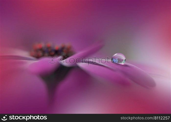 Beautiful Macro Shot of Magic Flowers.Border Art Design.Magic Light.Extreme Close up Photography.Conceptual Abstract Image.Violet and Red Background.Fantasy Art.Creative Wallpaper.Beautiful Nature Background.Amazing Spring Flower.Water Drop.Copy Space.