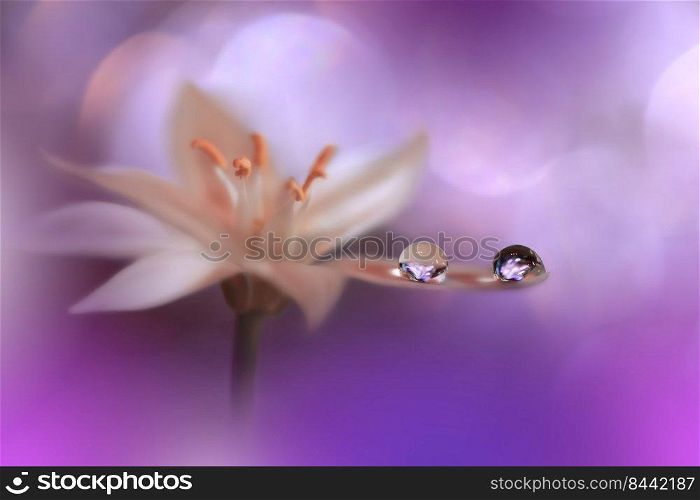 Beautiful Macro Shot of Magic Flowers.Border Art Design.Magic Light.Extreme Close up Photography.Conceptual Abstract Image.Violet and White Background.Fantasy Art.Creative Wallpaper.Beautiful Nature Background.Amazing Spring Flower.Water Drop.Copy Space.