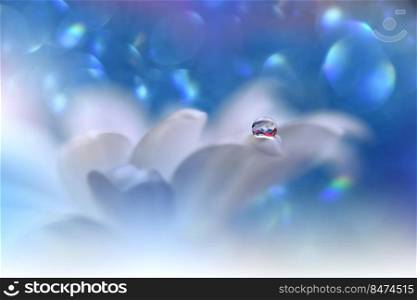 Beautiful Macro Shot of Magic Flowers.Border Art Design.Magic Light.Extreme Close up Photography.Conceptual Abstract Image.White and Blue Background.Fantasy Art.Creative Wallpaper.Beautiful Nature Background.Amazing Spring Flower.Water Drop.Copy Space.