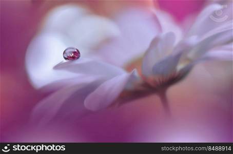 Beautiful Macro Shot of Magic Flowers.Border Art Design.Magic Light.Extreme Close up Photography.Conceptual Abstract Image.Violet and White Background.Fantasy Art.Creative Wallpaper.Beautiful Nature Background.Amazing Spring Flower.Water Drop.Copy Space.
