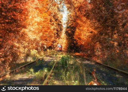 Beautiful magic alley in a park with colorful trees and tramway. Autumn nature background