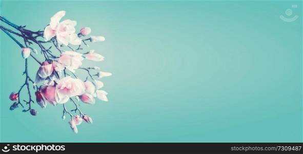 Beautiful magnolia spring blossom. Flowering branch of magnolia at turquoise background. Springtime concept. Floral border. Banner or template with copy space