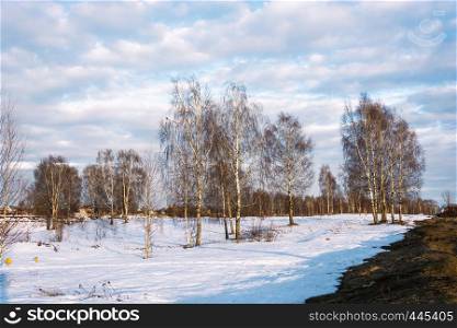 Beautiful March landscape with birches in the rays of the setting sun and a cloudy sky.
