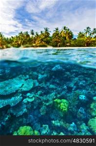 Beautiful marine life, abstract natural background, gorgeous coral garden underwater, tropical island with palm trees forest, beauty of wild nature