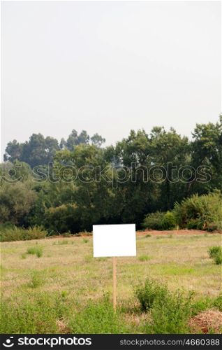 Beautiful meadow with a blank cartel for advertising
