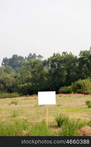 Beautiful meadow with a blank cartel for advertising