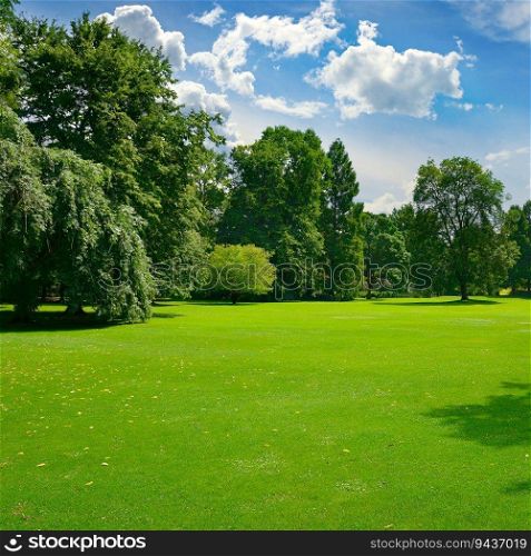 Beautiful meadow with green grass in large public park.
