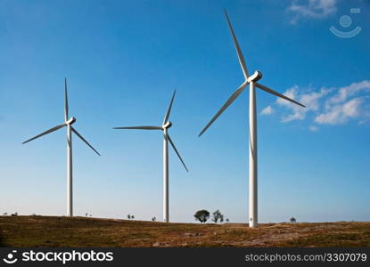 Beautiful meadow with Wind turbines generating electricity.
