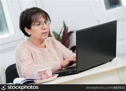 beautiful middle age woman using a laptop in home