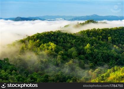 Beautiful mist over green forest on mountain, Aerial view sunrise over the mountain range at the north of thailand, Beauty rainforest landscape with fog in morning.. Beautiful mist over green forest on mountain.