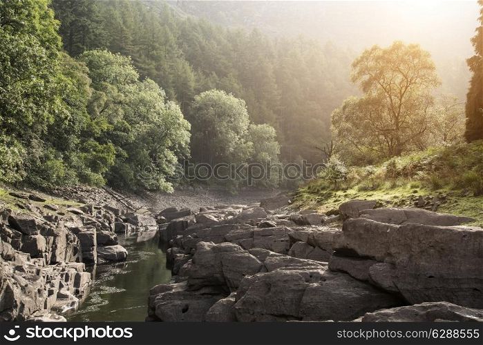 Beautiful morning landscape image of sunlight through trees into canyon creek below