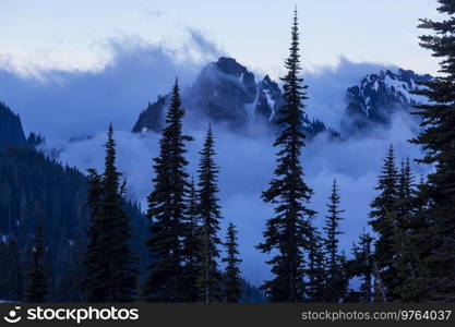 Beautiful morning scene in the mountains. Fog at sunrise.