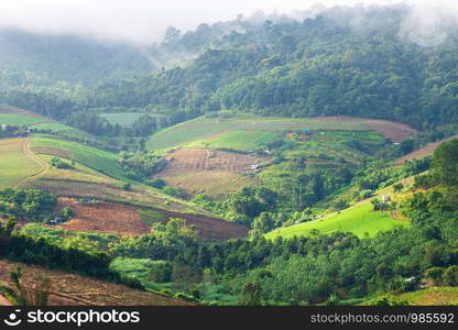 Beautiful morning sunrise view on little mountainous village and the mist are beauty on view point at Phuhinrongkla National Park Nakhon Thai District in Phitsanulok, Thailand.