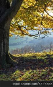 Beautiful morning view over rolling countryside landscape in Autumn