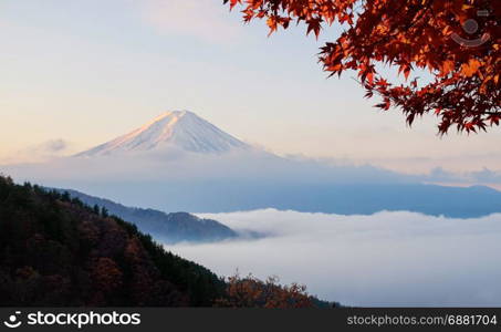 Beautiful Mount Fuji with sea of mist and red maple leaves in the autumn morning