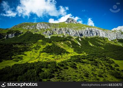 Beautiful mountain, fresh green mountainous forest, gorgeous landscape, Alpine fresh air, panoramic scene, travel and tourism concept