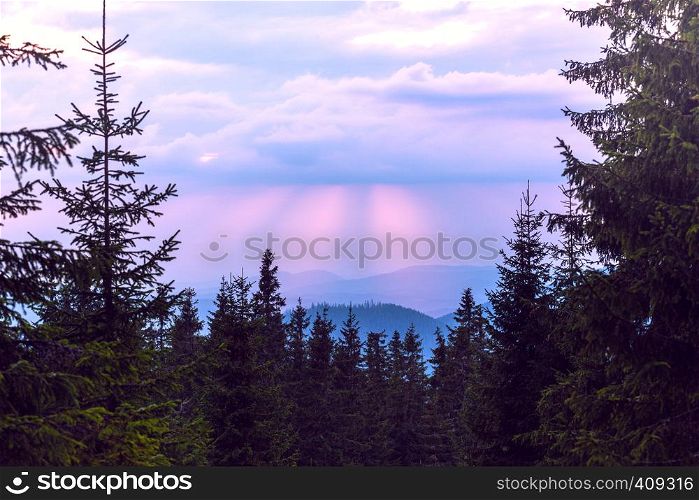 beautiful mountain landscape. background of pine forests and the sunset sky in the background