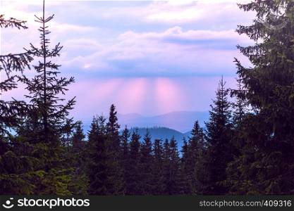 beautiful mountain landscape. background of pine forests and the sunset sky in the background