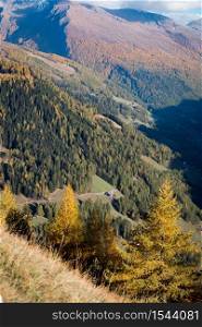 beautiful mountain landscape in the autumn alps. yellow larches on the slopes and sunset