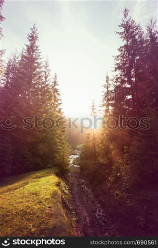 beautiful mountain landscape. mountains of the Carpathians - view of the valley during sunset