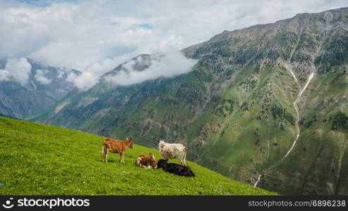 Beautiful mountain landscape of Sonamarg, Jammu and Kashmir state, India