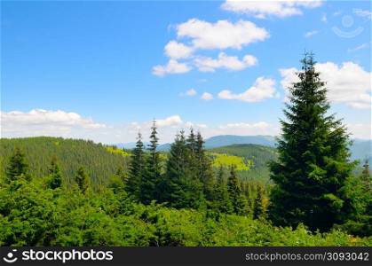 Beautiful mountain landscape. The mountain slopes of the Carpathians are covered with coniferous forests and vast meadows.