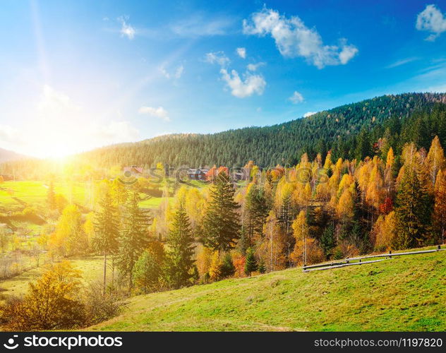 Beautiful mountain landscape with colorful autumnal forests and vibrant sunset. The concept is travel.