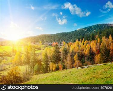 Beautiful mountain landscape with colorful autumnal forests and vibrant sunset. The concept is travel.
