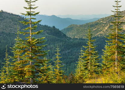 Beautiful mountain peak in North Cascade Range, Washington / USA