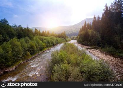 beautiful mountain river in the Carpathians, ukraine