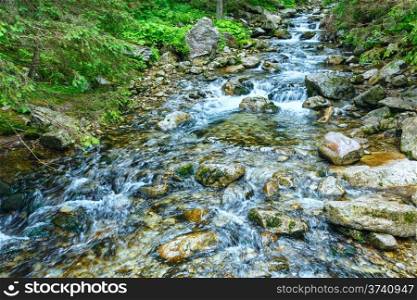 Beautiful mountain river summer view with clean water (Poland).