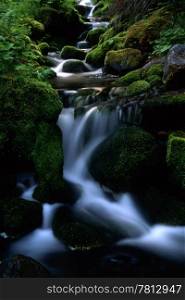Beautiful mountain stream with green moss and rocks