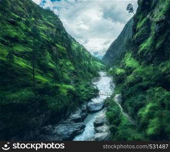 Beautiful mountains covered green grass. Moody landscape with mountain valley, river, waterfall, meadows and forest, sky with clouds in summer in Nepal in overcast day. Travel in Himalayas. Nature