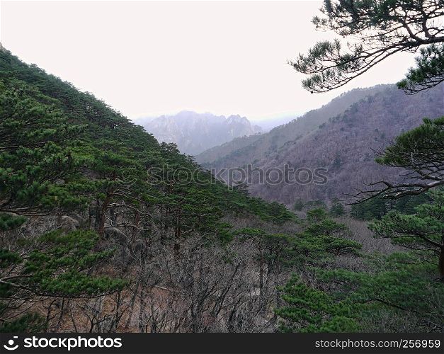 Beautiful mountains in South Korea
