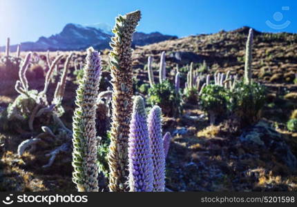 Beautiful mountains landscapes in Cordillera Huayhuash, Peru, South America