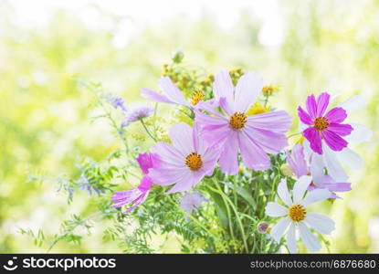Beautiful multicolored bouquet of wildflowers on a blurred natural background
