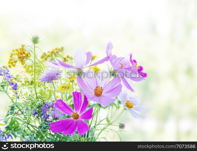 Beautiful multicolored bouquet of wildflowers on a blurred natural background, with copy-space