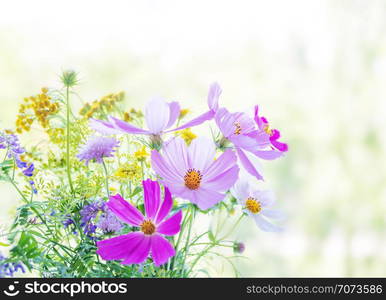 Beautiful multicolored bouquet of wildflowers on a blurred natural background, with copy-space