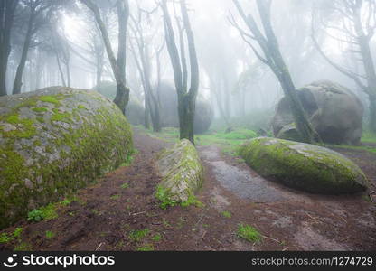 Beautiful mystical forest in a summer morning. Scenery with path in dreamy foggy forest