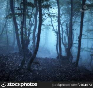 Beautiful mystical forest in blue fog in spring at dusk. Dark woods. Colorful landscape with enchanted trees with green leaves in mist. Scenery with path in dreamy foggy forest. Nature background