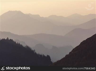 Beautiful natural background- misty mountain silhouette