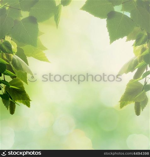 Beautiful natural backgrounds with foliage and copy space for your design