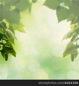 Beautiful natural backgrounds with foliage and copy space for your design