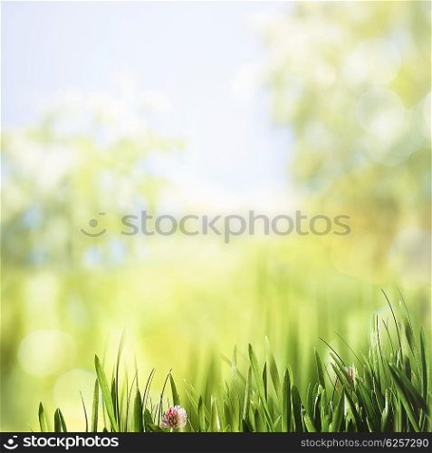 Beautiful natural backgrounds with green grass and copy space for your design