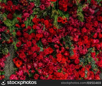 Beautiful natural flowers ornamental garden wall background with different types of red flowers as roses, carnation, mums, orchid, cockscomb, nerine and holly
